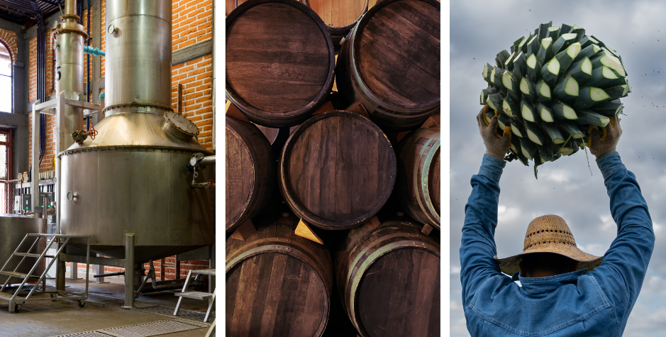 The story of Borracho Tequila